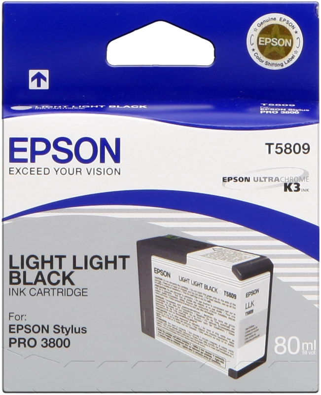 Epson T5809 Druckerpatrone Light Light Schwarz – Original